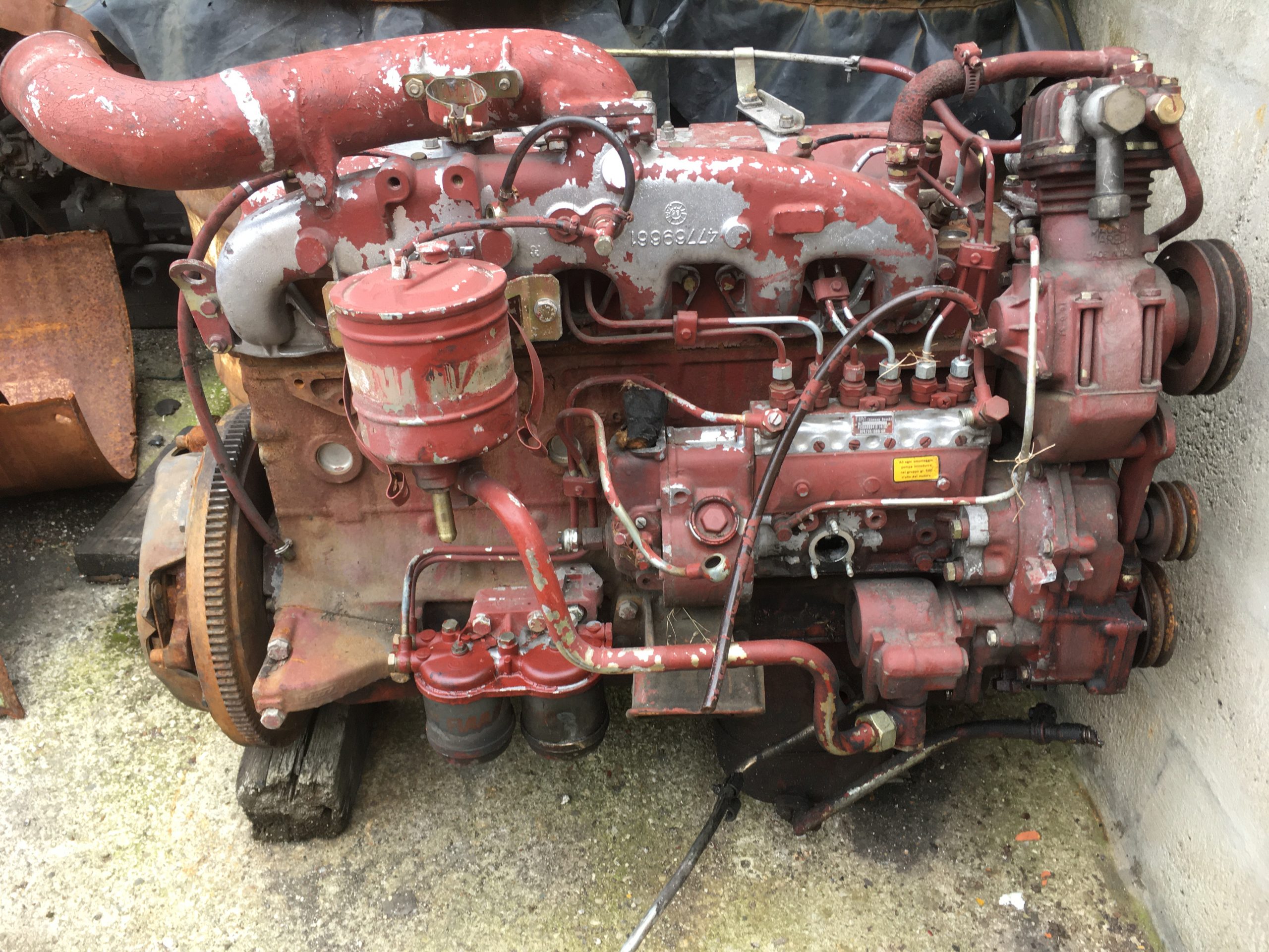 Motore Fiat Iveco 79.13