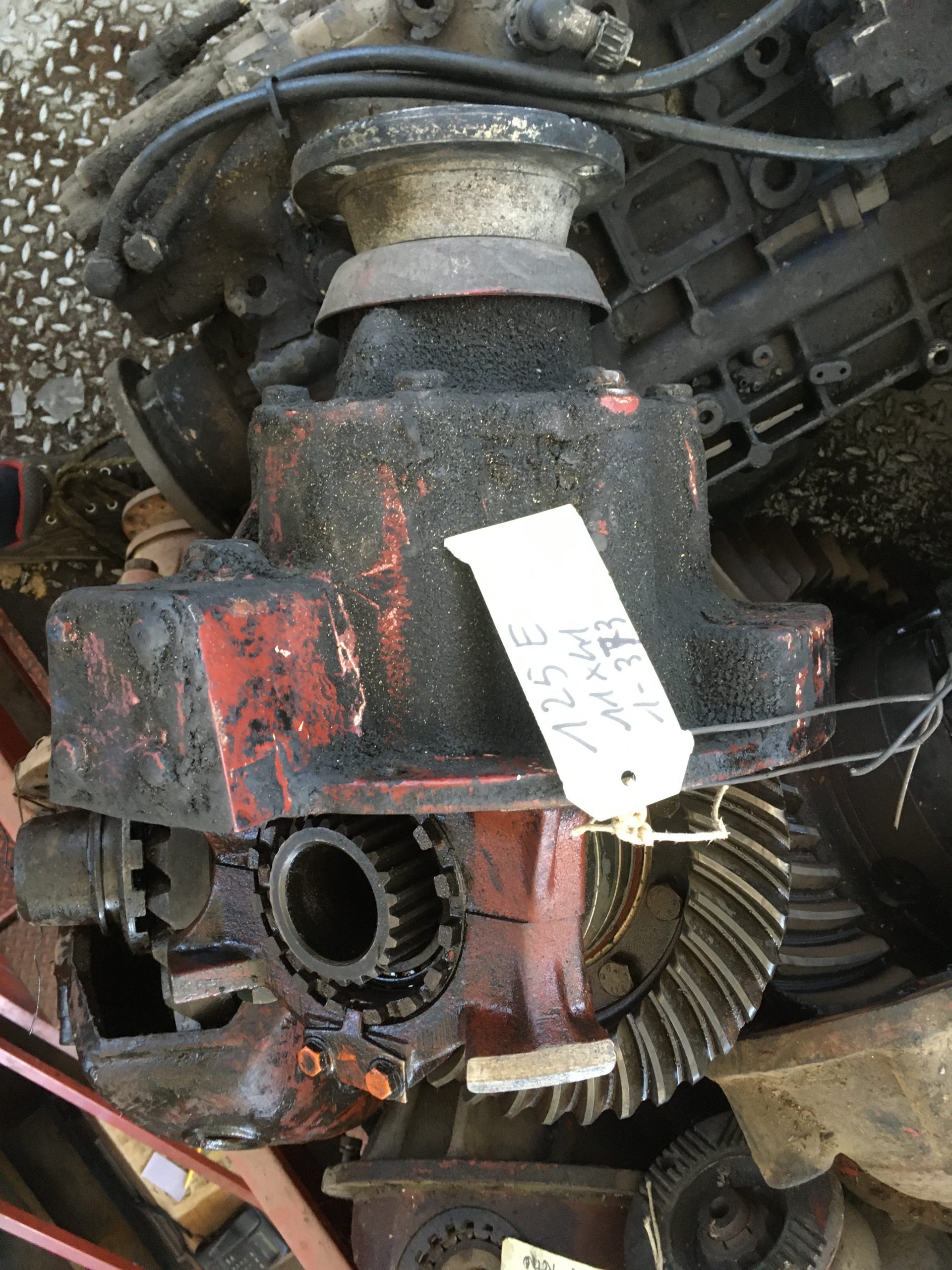 Gruppo differenziale Fiat Iveco 120 E 23